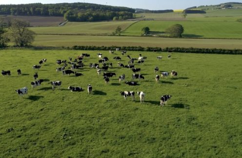 Our Organic Farm