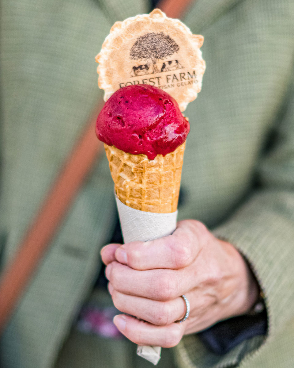 Blackcurrant Sorbet