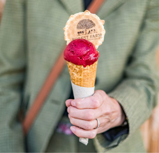 Blackcurrant Sorbet